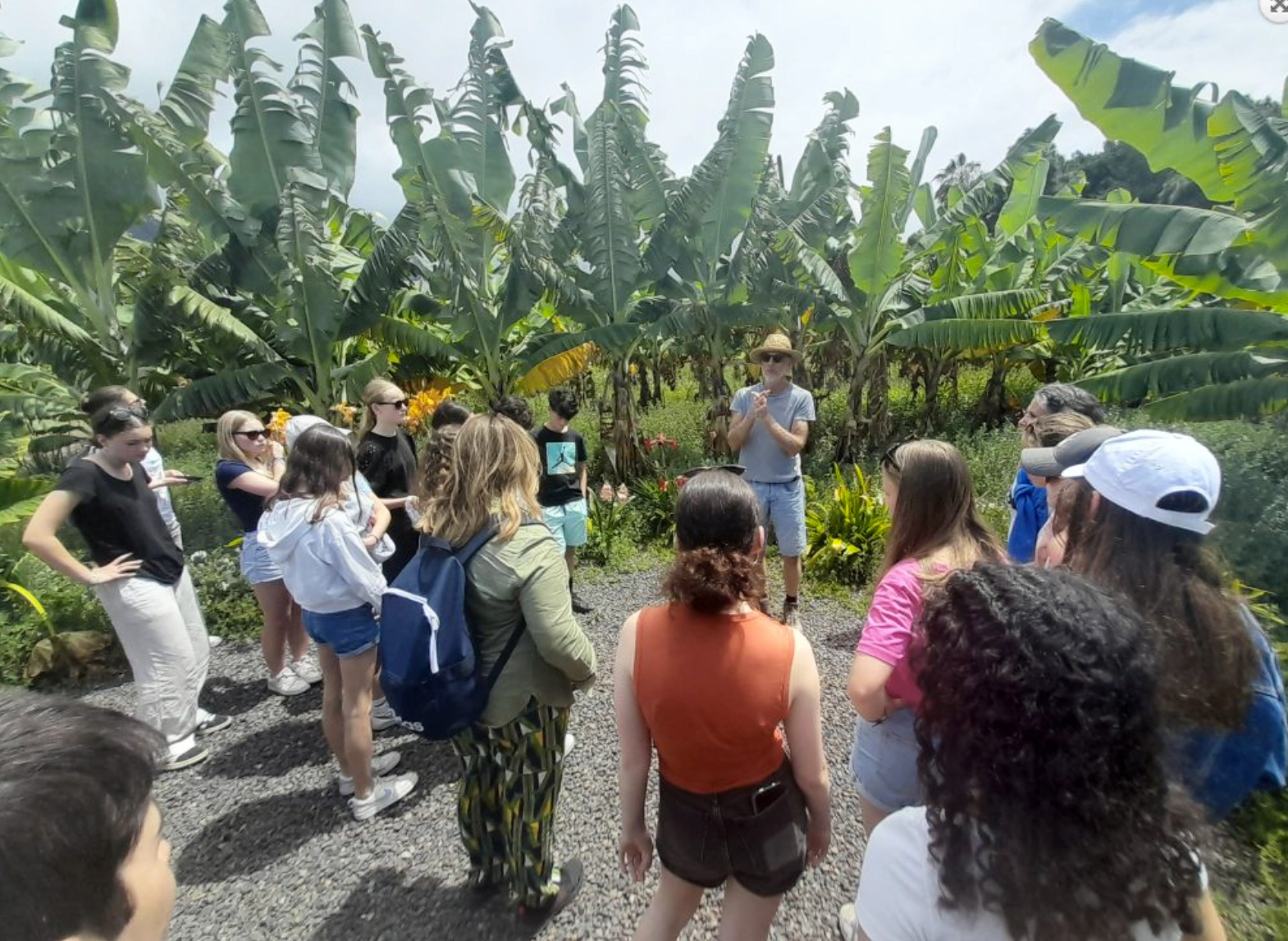 Les élèves du collège Sacré-Cœur visitent des plantations en Erasmus à Tenerife
