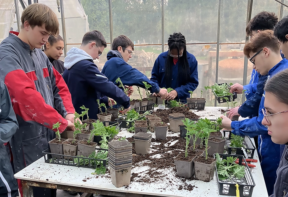 Élèves de SEGPA en atelier jardinage, collège Sacré-Coeur de Vannes